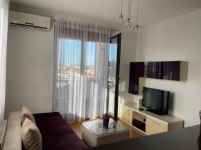 Purple apartment-